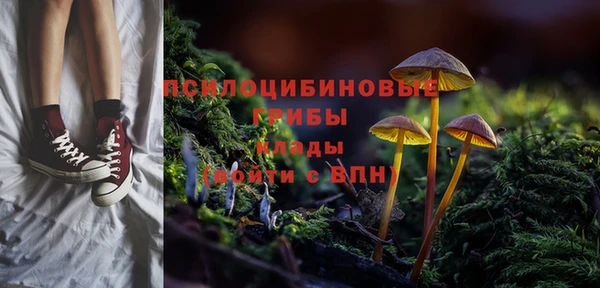 бутират Алзамай
